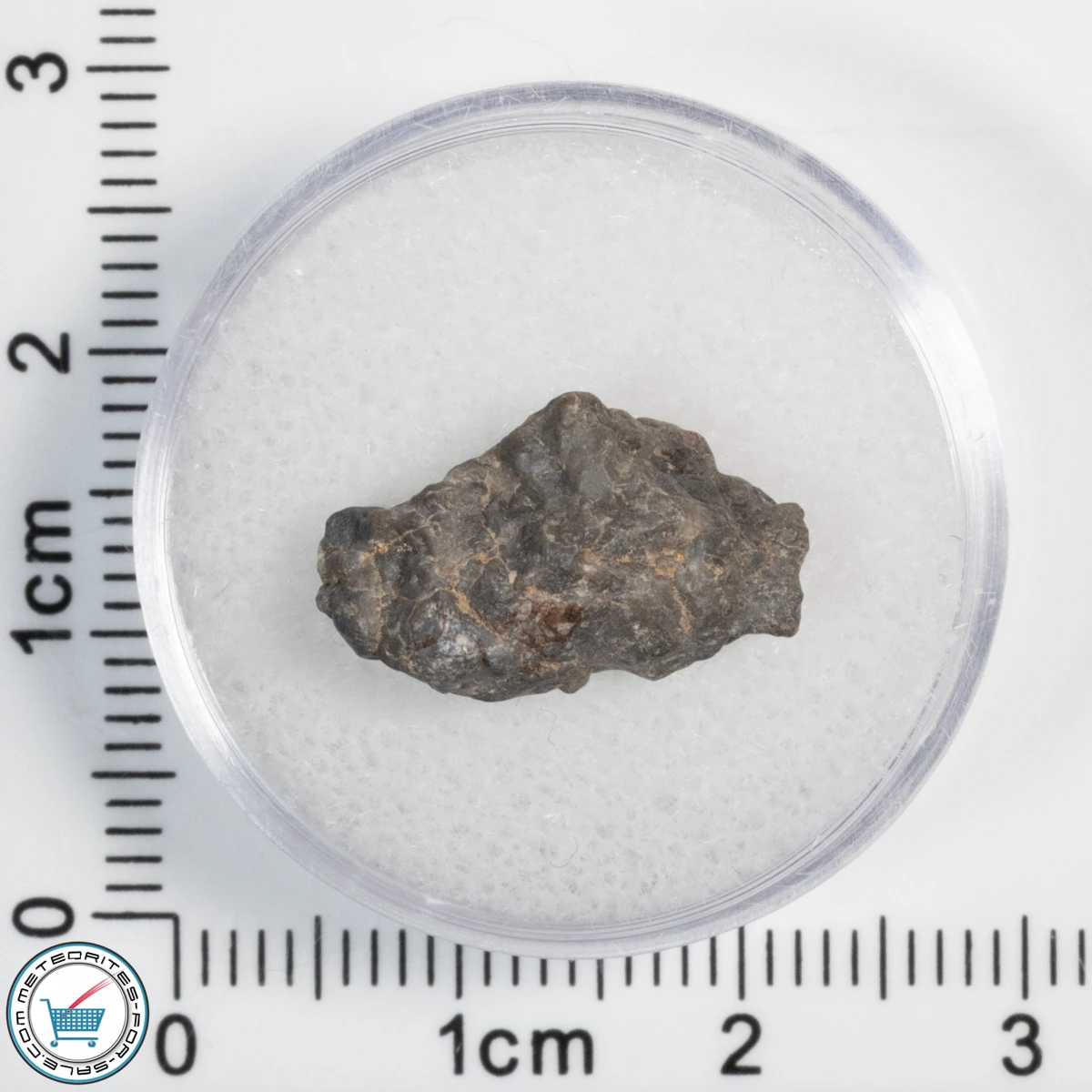 Laâyoune 002 Lunar Meteorite 1.15g