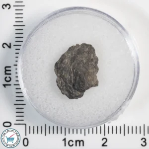 Laâyoune 002 Lunar Meteorite 1.23g