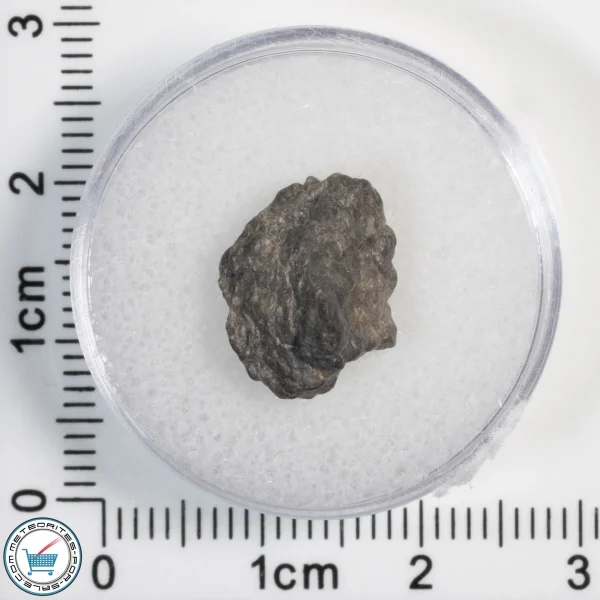 Laâyoune 002 Lunar Meteorite 1.23g