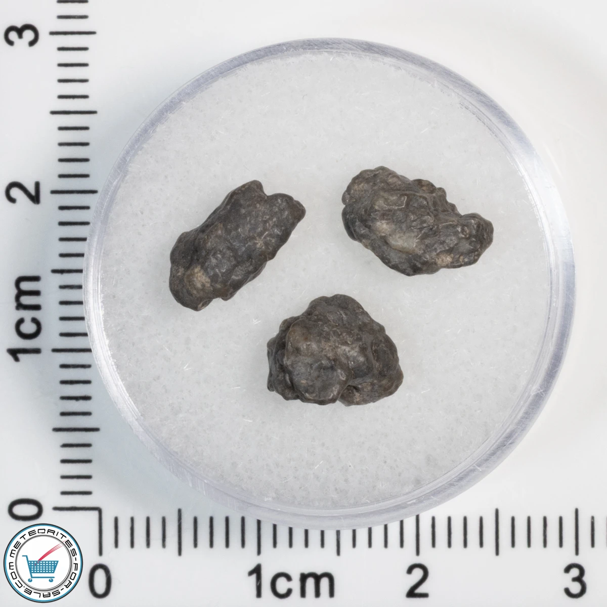 Laâyoune 002 Lunar Meteorite 1.03g