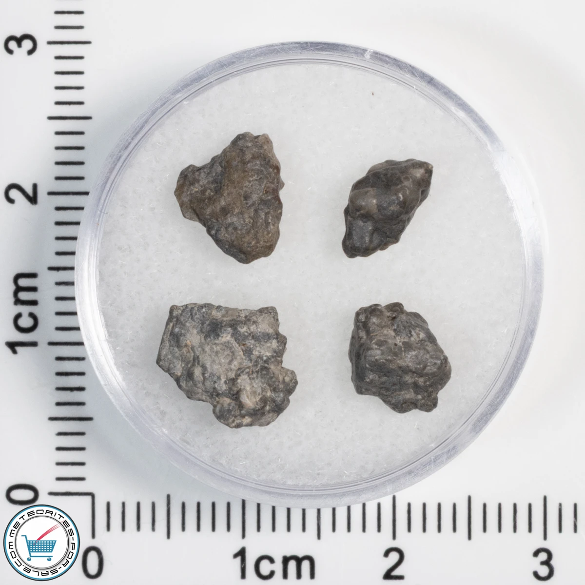 Laâyoune 002 Lunar Meteorite 1.08g