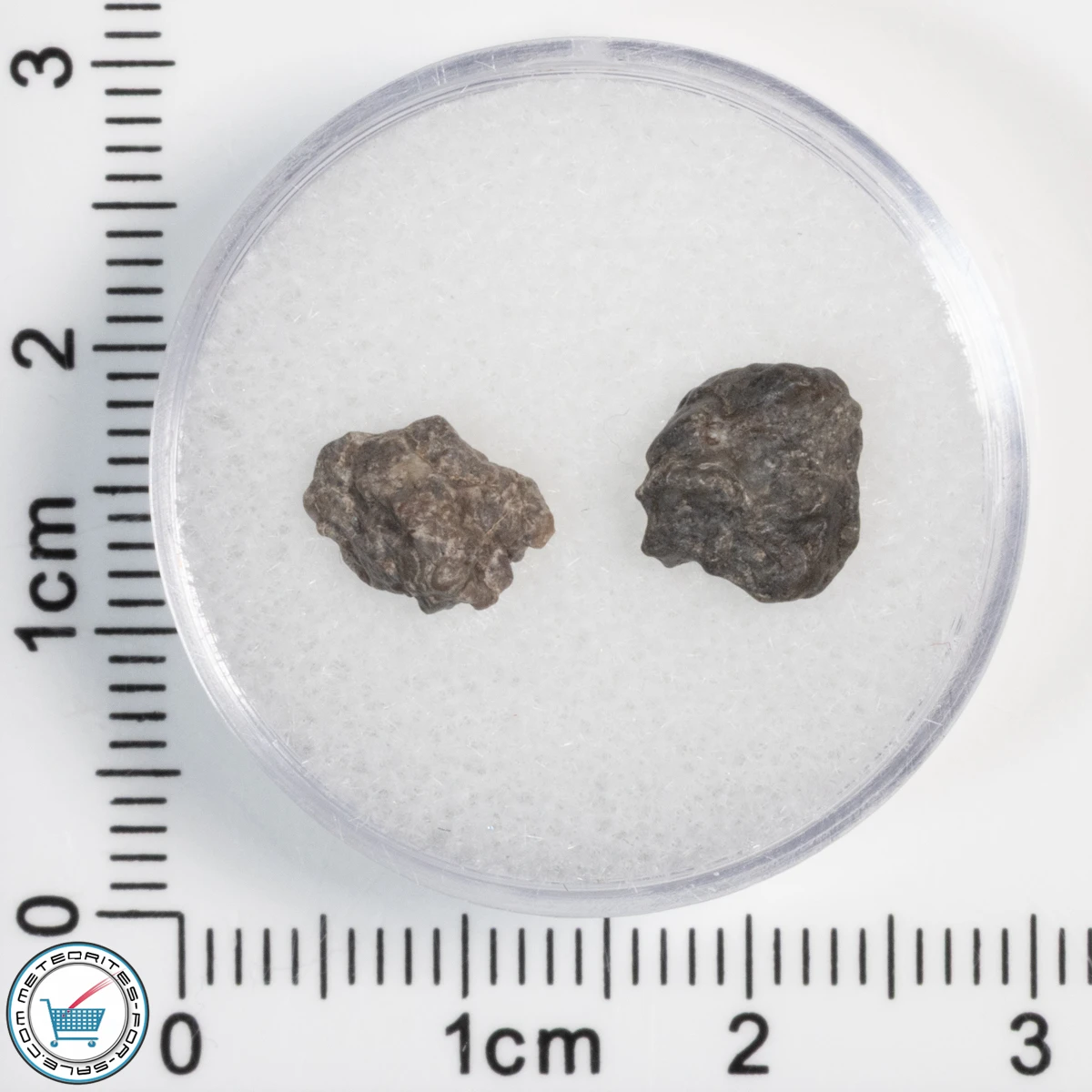Laâyoune 002 Lunar Meteorite 0.50g