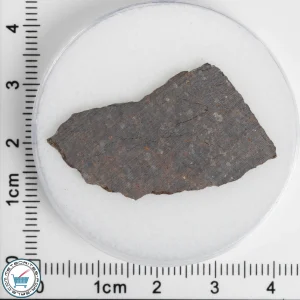 El Médano 395 Meteorite 2.91g Slice