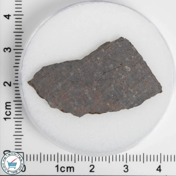El Médano 395 Meteorite 2.91g Slice