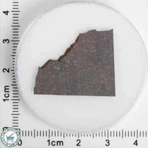 El Médano 395 Meteorite 2.44g Slice