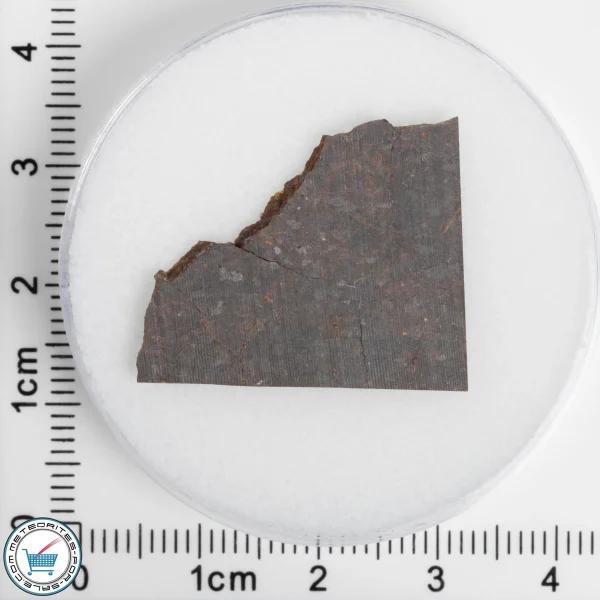 El Médano 395 Meteorite 2.44g Slice