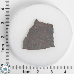 El Médano 395 Meteorite 1.76g Slice