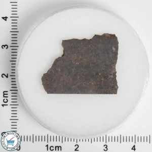 El Médano 395 Meteorite 2.3g Slice