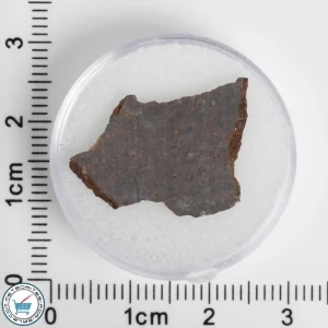El Médano 395 Meteorite 1.31g Slice