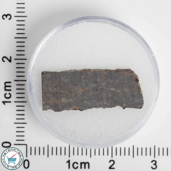 El Médano 395 Meteorite 1.13g Slice