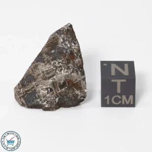 Muonionalusta Meteorite 15.7g