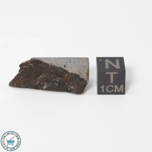 Muonionalusta Meteorite 11.8g
