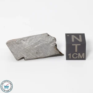 Muonionalusta Meteorite 11.8g