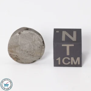 Muonionalusta Meteorite 4.5g