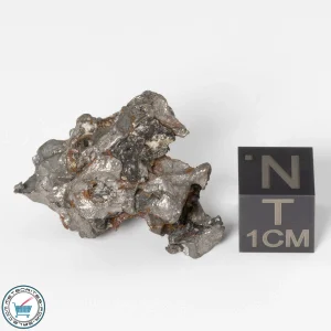 Sericho Pallasite Individual 13.73g Fragment