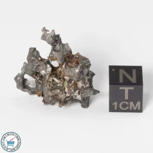 Sericho Pallasite Individual 7.60g Fragment