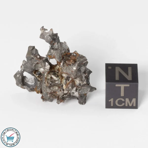 Sericho Pallasite Individual 7.60g Fragment