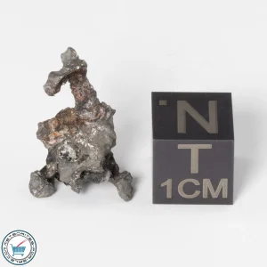 Sericho Pallasite Individual 2.28g Fragment