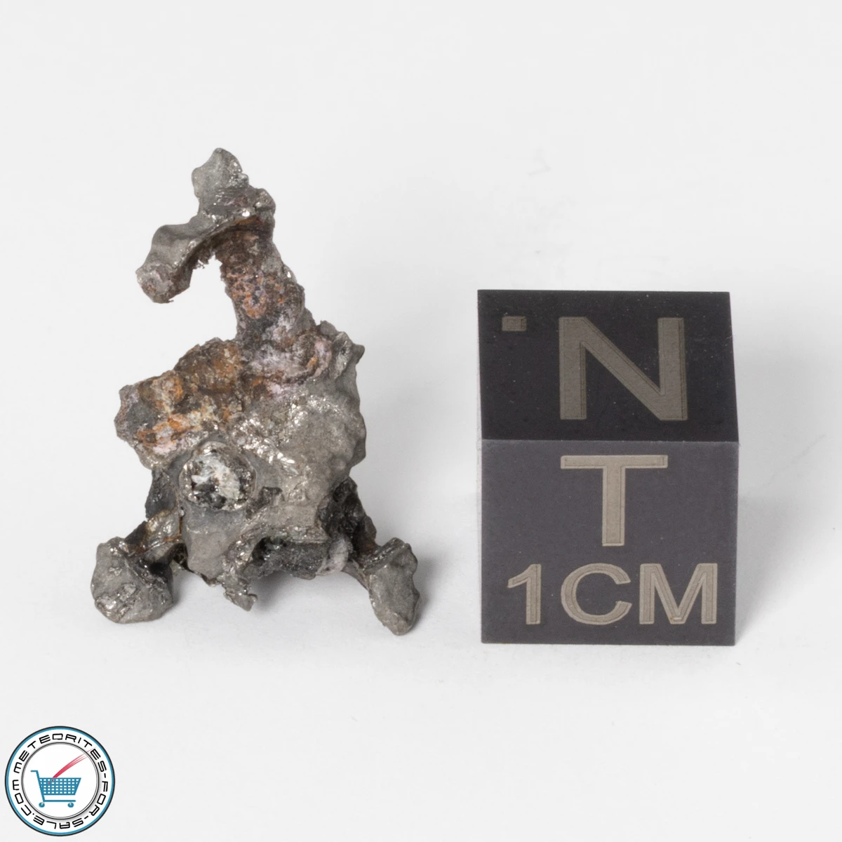 Sericho Pallasite Individual 2.28g Fragment