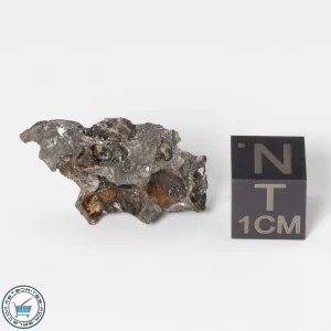 Sericho Pallasite Individual 5.16g Fragment