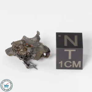 Sericho Pallasite Individual 2.89g Fragment