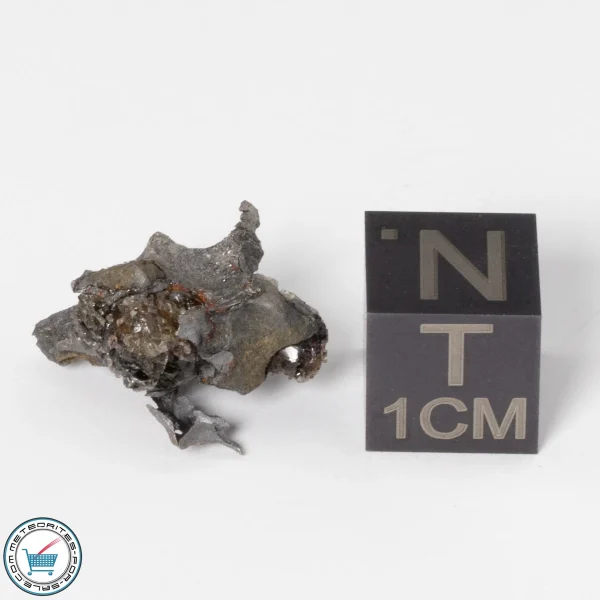 Sericho Pallasite Individual 2.89g Fragment