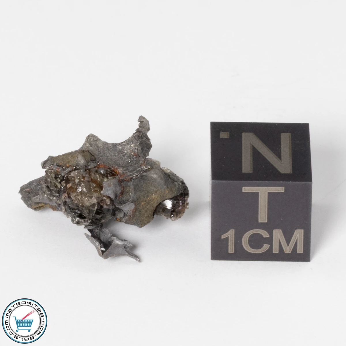 Sericho Pallasite Individual 2.89g Fragment