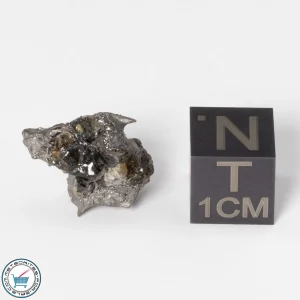 Sericho Pallasite Individual 2.77g Fragment