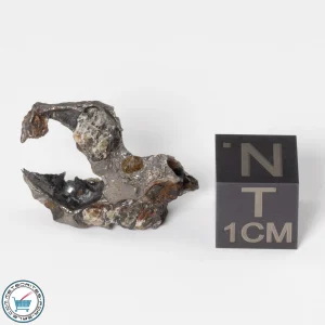 Sericho Pallasite Individual 3.46g Fragment