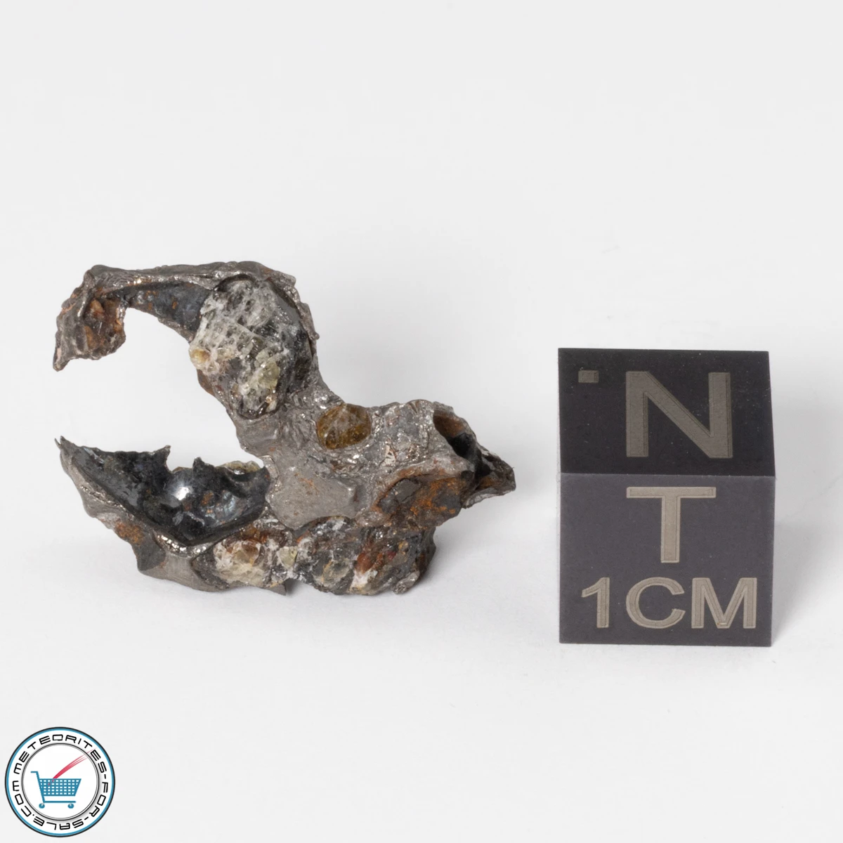 Sericho Pallasite Individual 3.46g Fragment