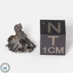 Sericho Pallasite Individual 1.18g Fragment