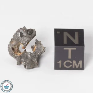 Sericho Pallasite Individual 1.51g Fragment