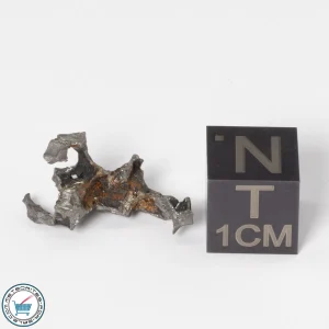 Sericho Pallasite Individual 1.23g Fragment