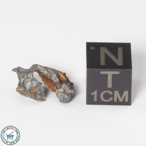 Sericho Pallasite Individual 1.04g Fragment