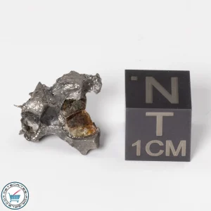 Sericho Pallasite Individual 1.74g Fragment