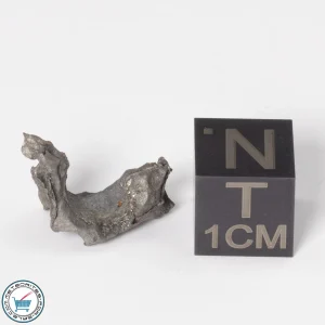 Sericho Pallasite Individual 1.77g Fragment