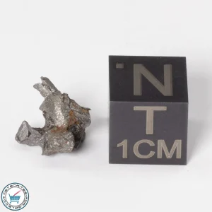 Sericho Pallasite Individual 0.67g Fragment