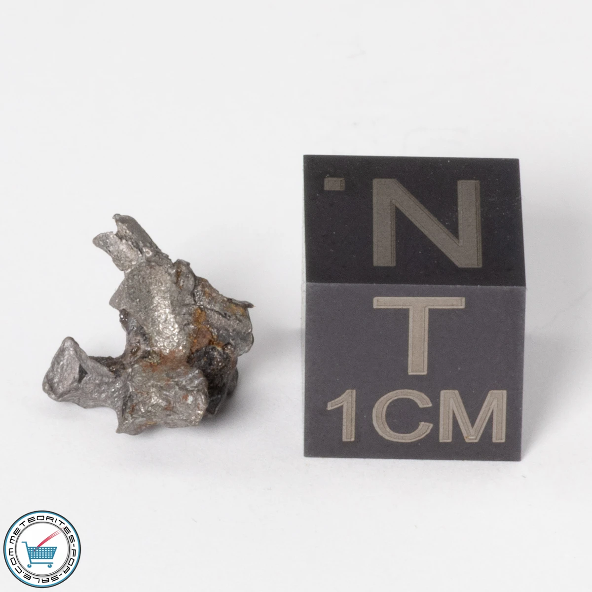 Sericho Pallasite Individual 0.67g Fragment
