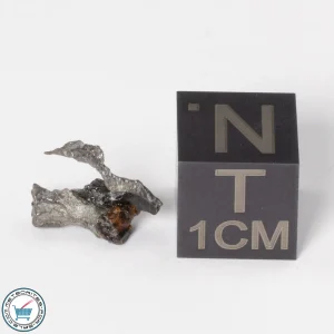 Sericho Pallasite Individual 0.54g Fragment