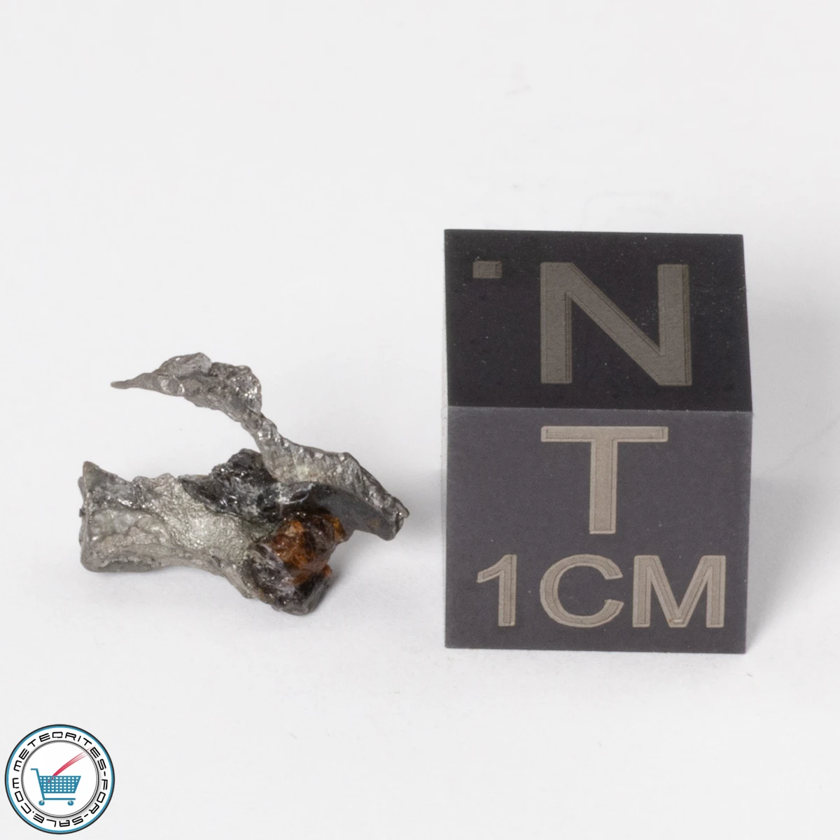 Sericho Pallasite Individual 0.54g Fragment