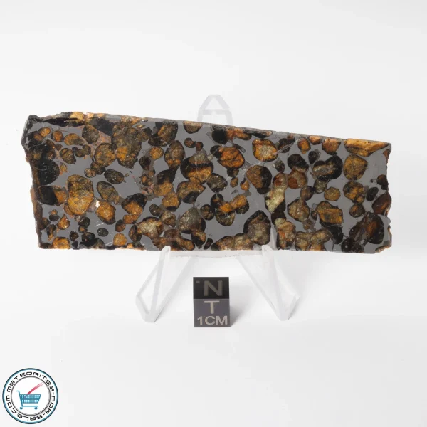 Sericho Pallasite Meteorite 45.7g