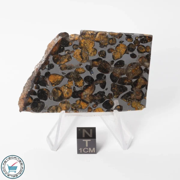 Sericho Pallasite Meteorite 34.9g