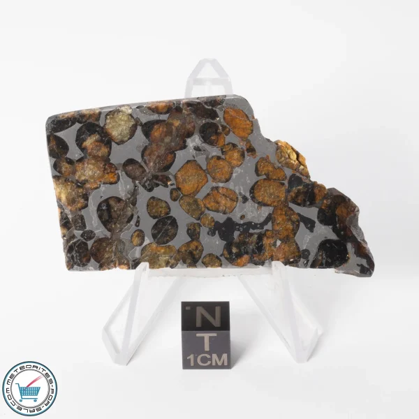 Sericho Pallasite Meteorite 26.5g
