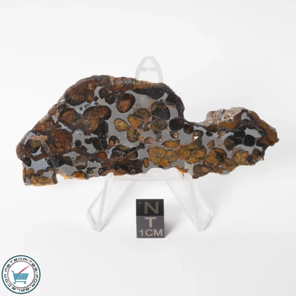 Sericho Pallasite Meteorite 32.3g