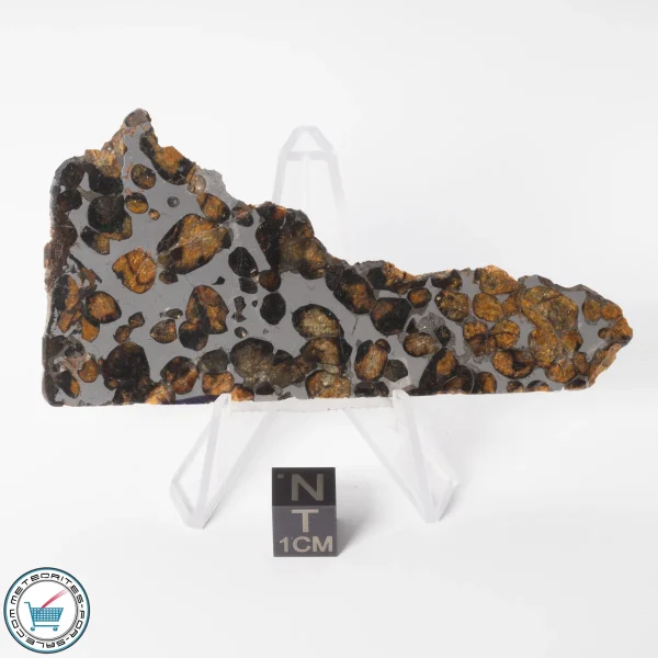 Sericho Pallasite Meteorite 29.0g