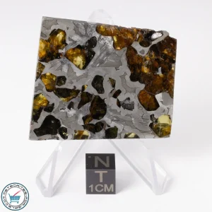 Seymchan Pallasite Meteorite 37.5g Slice
