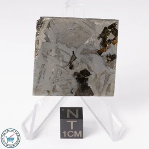 Seymchan Pallasite Meteorite 28.2g Slice