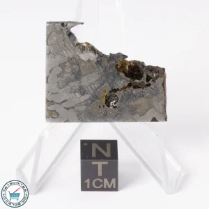 Seymchan Pallasite Meteorite 15.4g Slice