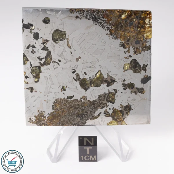 Seymchan Pallasite Meteorite 89.4g Slice