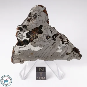 Seymchan Pallasite Meteorite 44.6g Slice